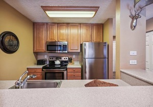 Snodallion 25-Fantastic Location-Walk to Town & Slopes!
