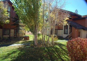 Snowcreek Resort Vacation Rental #439