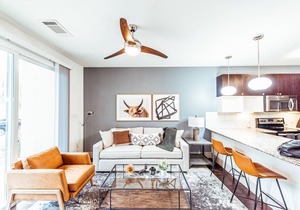South Lamar Modern Apartment