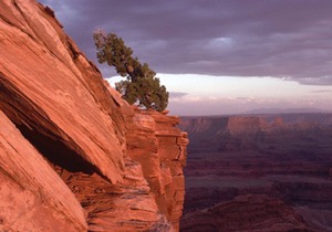 Southwest Vacation Sensation!