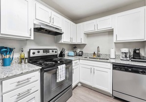 Spacious 2BR King Suite w Gym close to DT