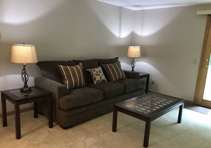 Spacious and cozy 2 BR/2BA townhouse in Abbey Springs Resort on Lake Geneva