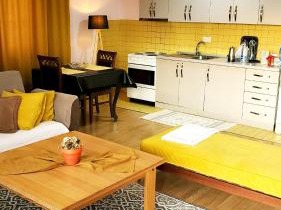 Spacious Downtown Apartment with a City View