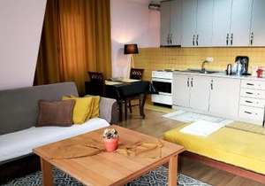 Spacious Downtown Apartment with a City View