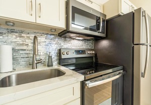 Spacious Downtown Executive Retreat Free Parking