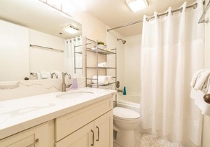 Spacious Downtown Executive Retreat Free Parking