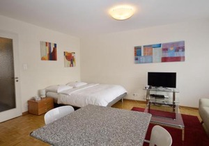 Spacious studio with balcony - Vineyard 71