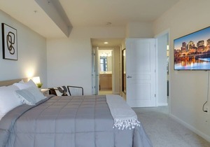 Spectacular 1BR Condo Located At Pentagon City