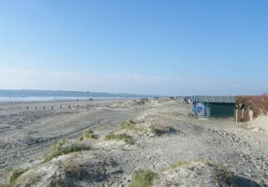 Spence Cottage, Birdham - a cottage that sleeps 5 guests in 2 bedrooms