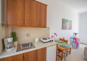 Spiros and Polyxeni Studio 2 Afionas