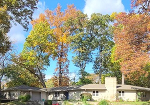 Sprawling mid-century, unique, SPACIOUS & dog friendly home!