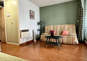 Studio à Argelès-sur-Mer, 400m de la plage et proche commerces, loggia, animaux bienvenus, ménage inclus - FR-1-225-548