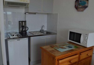 Studio climatisé 4 couchages proche plage et commerces au Grau-du-Roi - FR-1-250-160