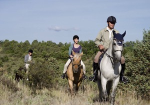 Studio Confortable pour la Famille!