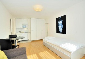 Studio in the heart of Zurich - Crown 35