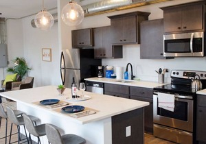 Stunning Condos Near Washington Park w/Parking