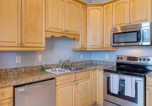 Sunny & bright - cute 1 BR apt in historic SPR