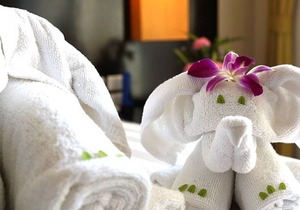 Superior - Free WiFi | Private Balcony - Upto 3 Adults| SDU#19