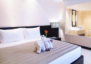 Superior - lovely inviting ambiance - Upto 3 Adults| SU#21