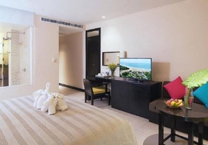 Superior - lovely inviting ambiance - Upto 3 Adults| SU#20