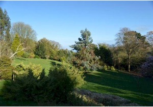 Swallows Nest @ Magnolia Lake