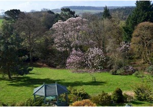Swallows Nest @ Magnolia Lake