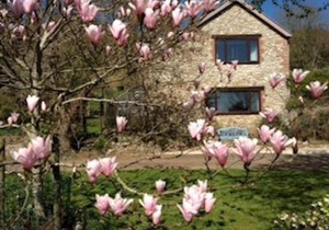 Swallows Nest @ Magnolia Lake