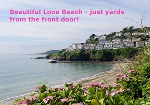 Sweet cottage in the heart of Looe with free Wifi
