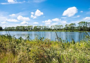 SWISS 14 - Lake Stephanie