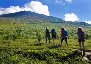 Tärnaby Fjällhotell