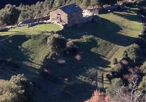 -T2 NEW EAGLE'S NEST