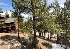 Tahoe Olympic - Comfy Condo, Community Pool