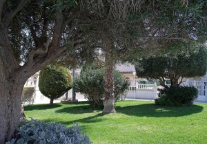 Tamarix 130.1