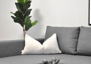 Tastefully Furnished and Newly Updated 2 BD Central Lynn Valley North Vancouver