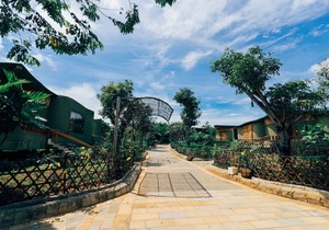 Tea Resort
