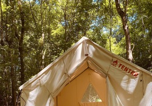 Tentrr Signature Site - Crestview Campsite Three