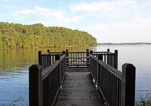 Tentrr State Park Site - Louisiana North Toledo Bend State Park - Lakeview C - S