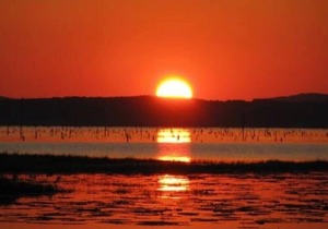 Tentrr State Park Site - Louisiana North Toledo Bend State Park - Lakeview D - S