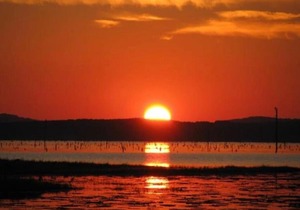 Tentrr State Park Site - Louisiana North Toledo Bend State Park - Lakeview C - Single Camp