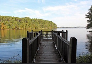 Tentrr State Park Site - Louisiana North Toledo Bend State Park - Lakeview D - Single Camp