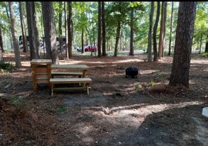 Tentrr State Park Site - Louisiana North Toledo Bend State Park - Forest Glade H - Single Camp