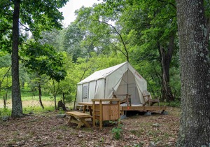 Tentrr State Park Site - WV Lost River State Park - Wooded Wilderness C - Single