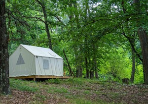 Tentrr State Park Site - WV Lost River State Park - Wooded Wilderness D - Single