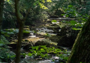 Tentrr State Park Site - WV Hawk's Nest State Park - Site H - Single Camp
