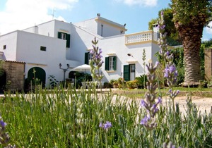 Tenuta Don Salvatore