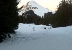 Terrasses Du Mont Blanc
