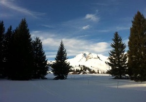 Terrasses Du Mont Blanc