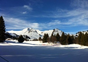 Terrasses Du Mont Blanc