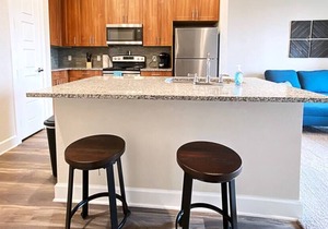 Texas Corporate Housing Solutions Professional Apt