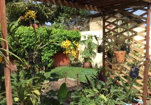 The Green House, Labone